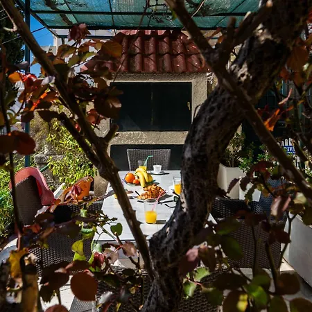 Flora Apartment